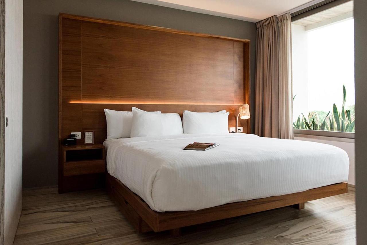 Newport Luxe