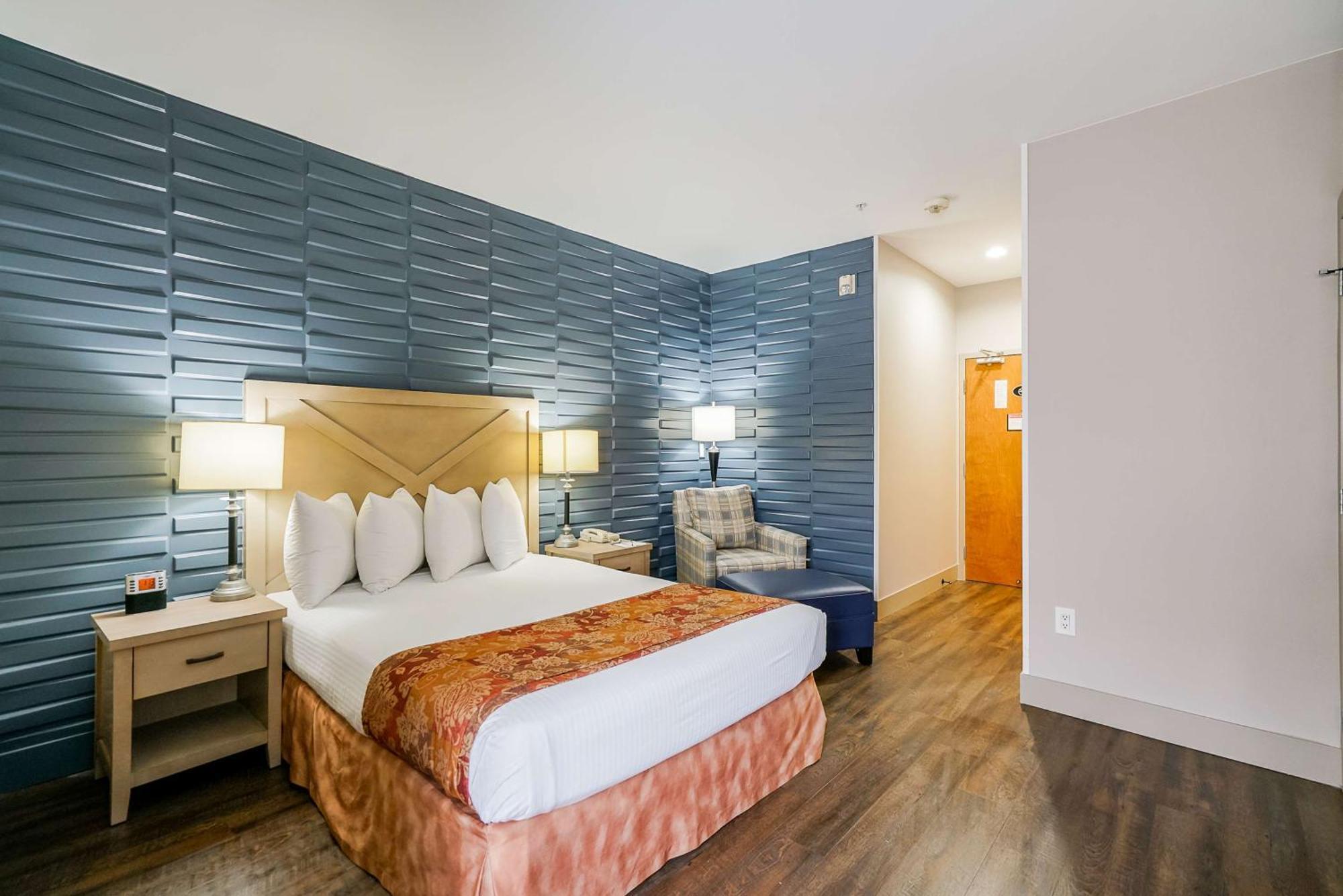 Queen Room Pet Friendly,1278771046:JPEG