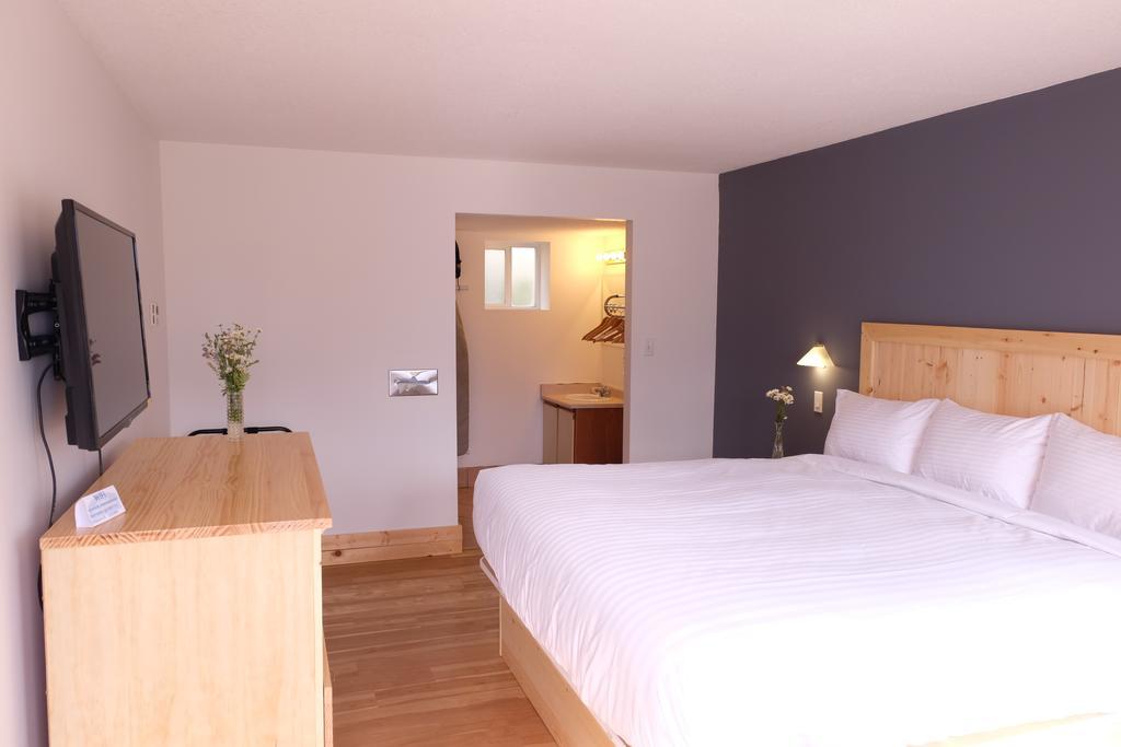 Executive Suite met Queensize Bed