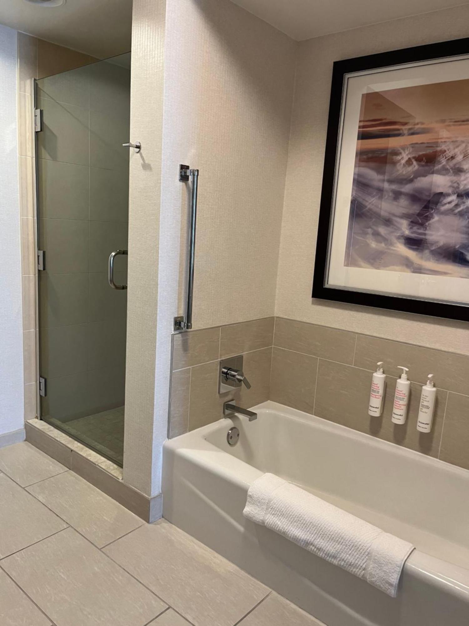 One-Bedroom Suite