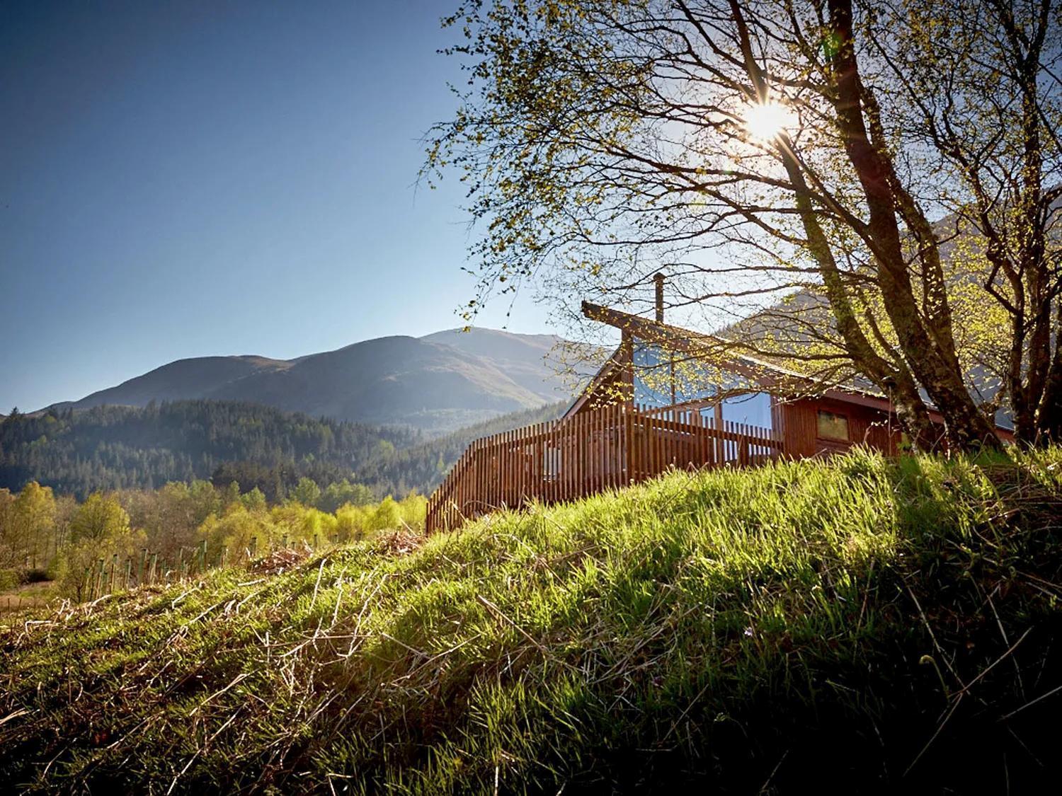 New Style Golden Oak Cabin