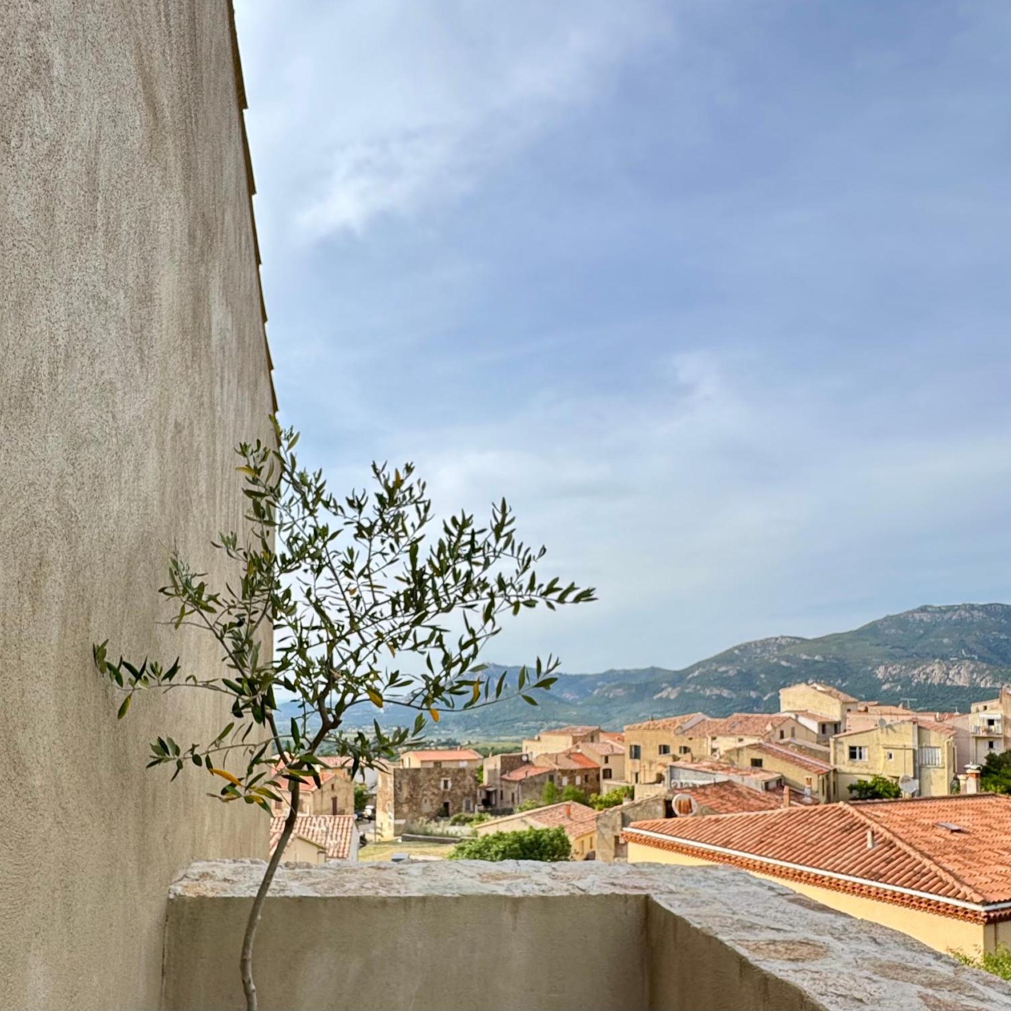 Chambre Double - Vue sur Jardin