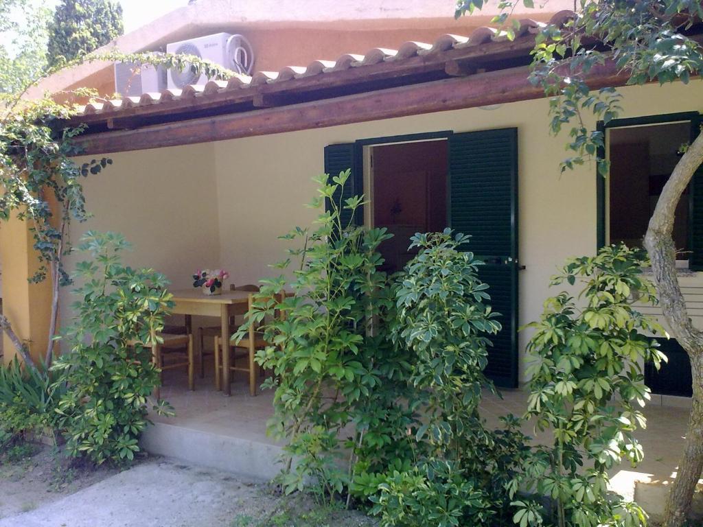 Comfort Apartment