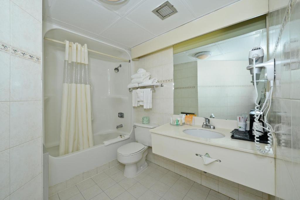King Studio Suite Room - Non-Smoking