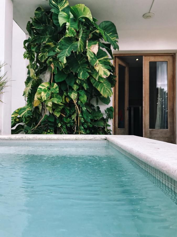 Suite Executive Terraza