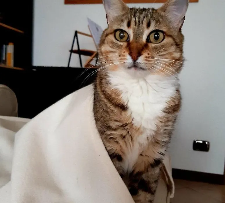 Un Buon Inizio-1