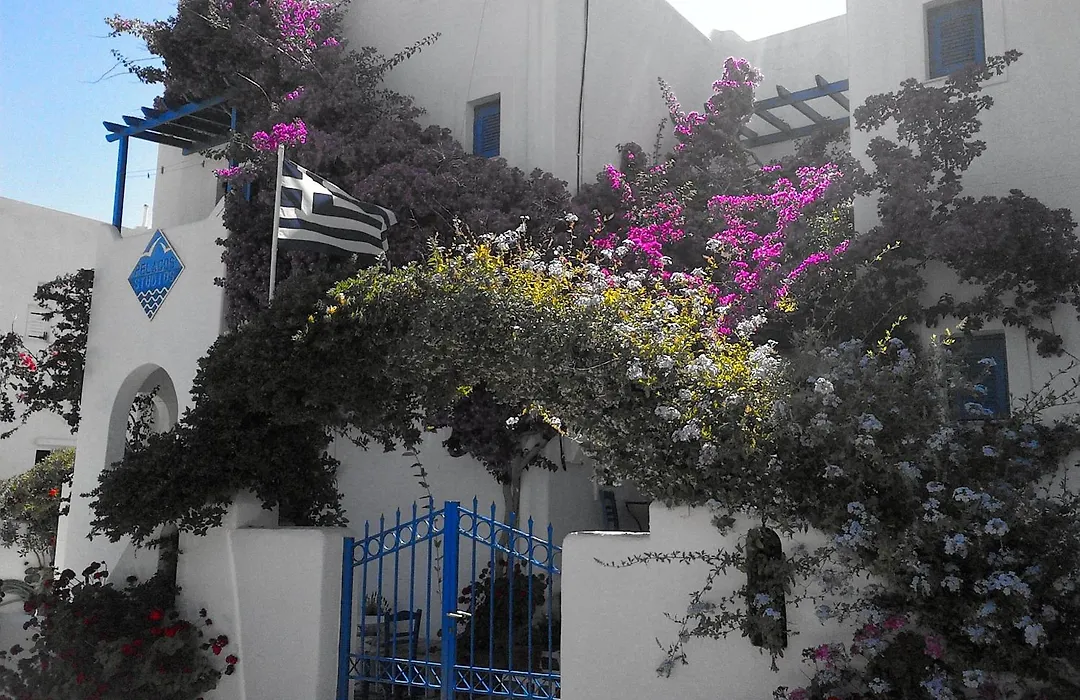 Pelagos Studios-1