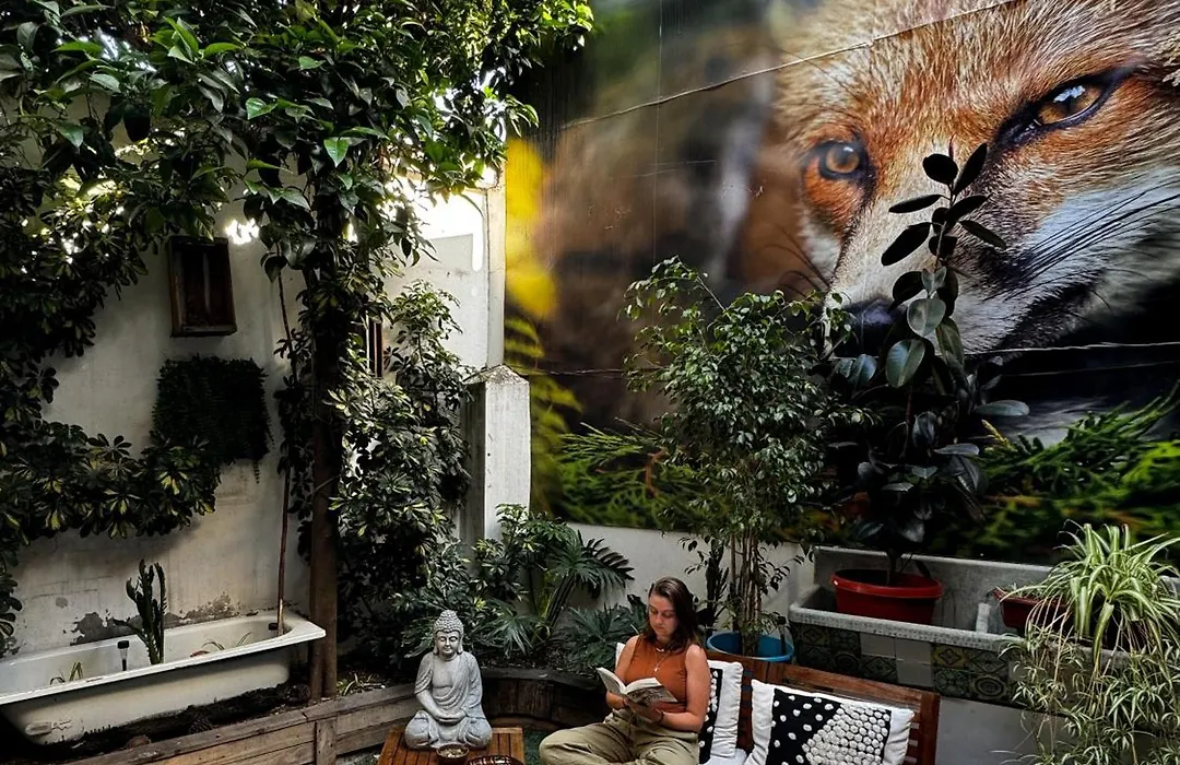 The Fox Hostel-1