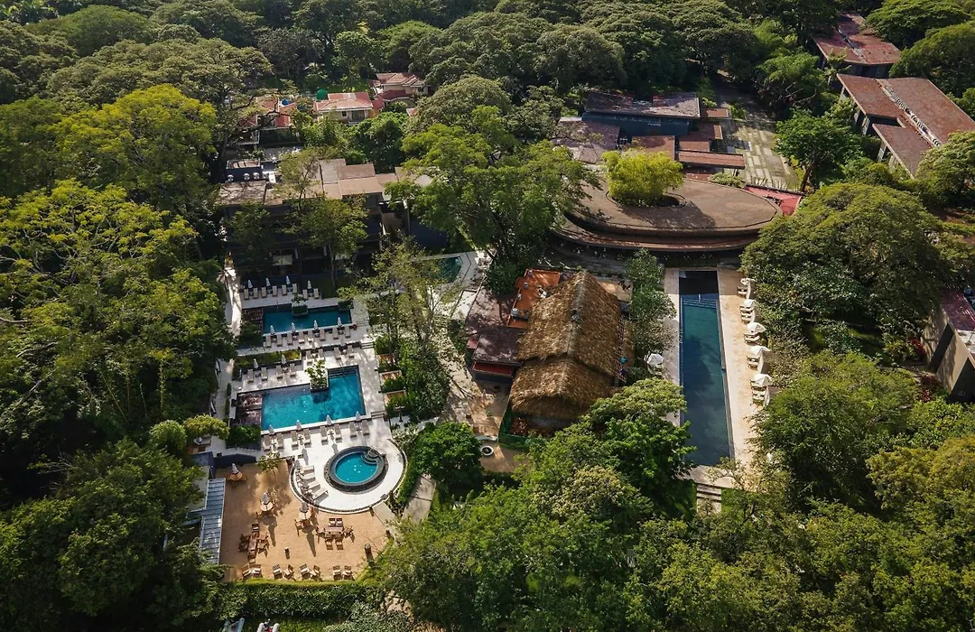 El Mangroove Papagayo, Autograph Collection-1