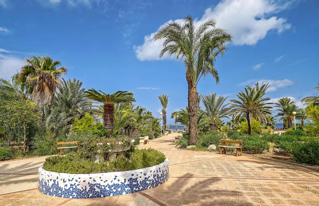 Occidental Mar Menor-1
