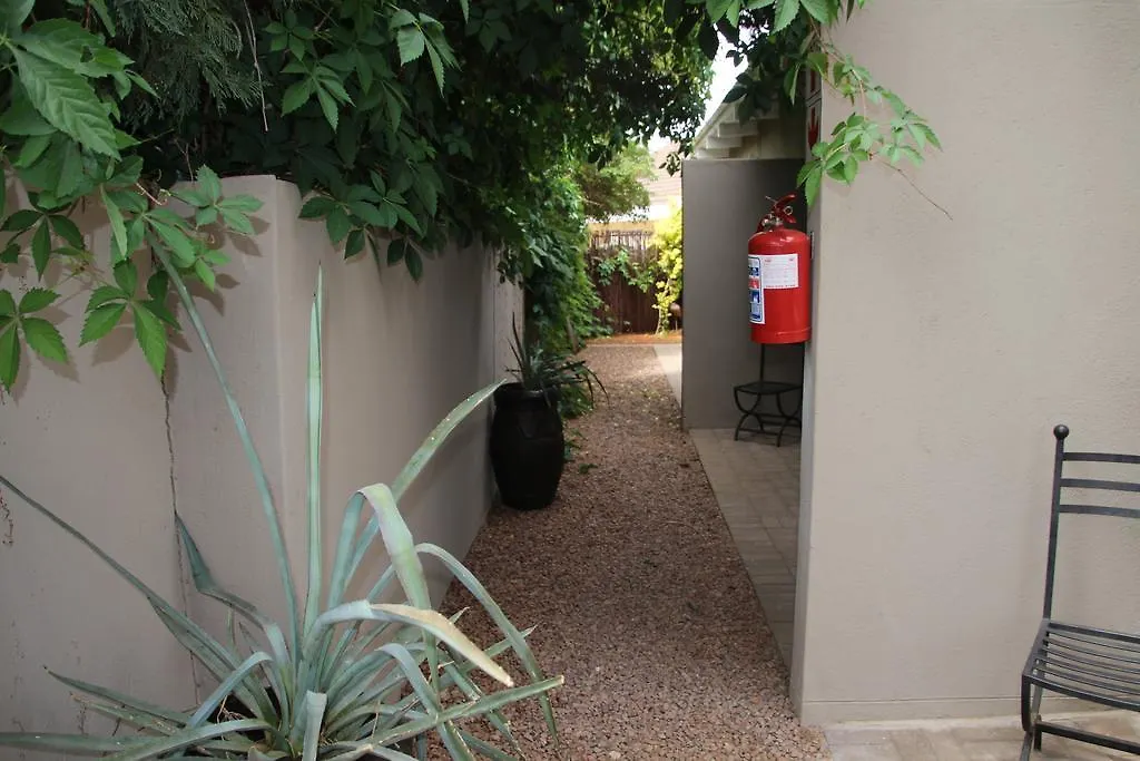 Olive Tree B&B-1