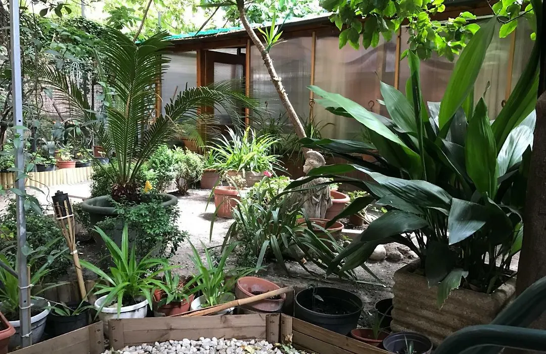 La Casa Di Elena-1