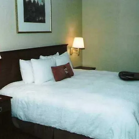 Hampton Inn Tucumcari Nm-3