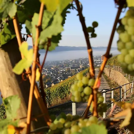 Wein und Gästehaus Hüls-2