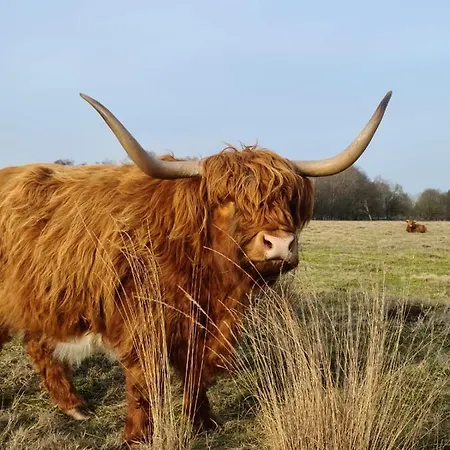 Studio in rietgedekte boerderij, geheel privé, hond vriendelijk-3