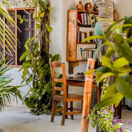 Zomay Beachfront Holbox-3