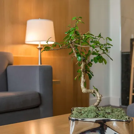 The West Wing Boutique Hotel-2