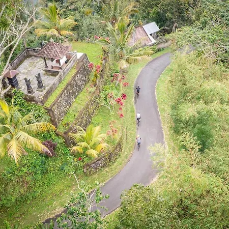 Kaura Bali-2