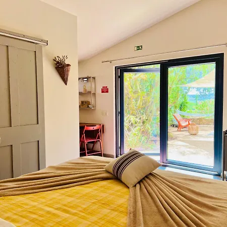 Gato Preto De Silves - Adults Only-3