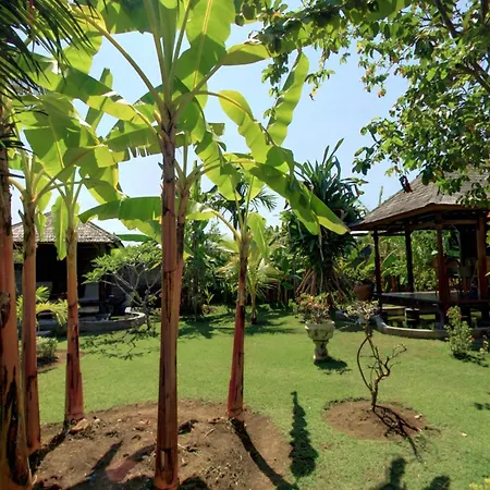 Sawah Lovina-2