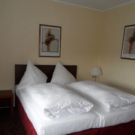 Wiking Hotel-3