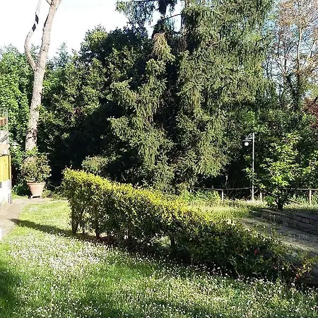 L'Ulivo Chiantigiana 115-3