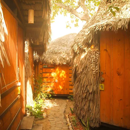 Raiz Kite Cabana-3