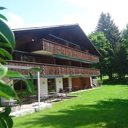 Hotel Alpine Lodge-3