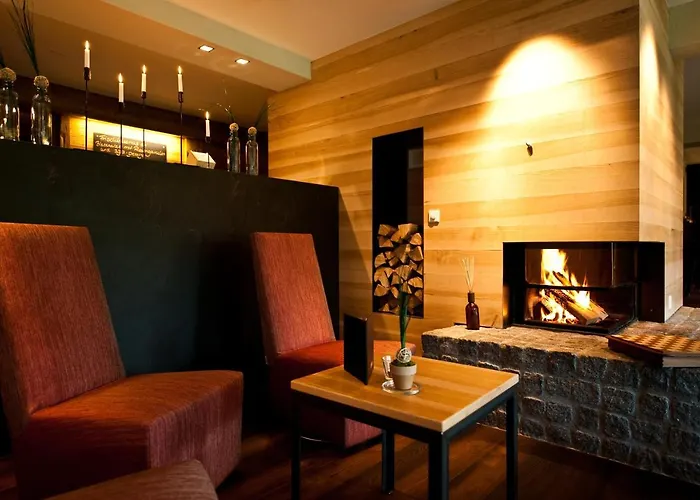 Hotel Alpine Lodge Gstaad