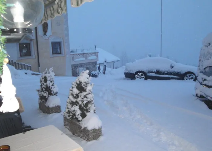 Garni Halali