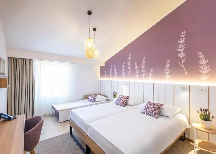 Hotel Vile Park Premium