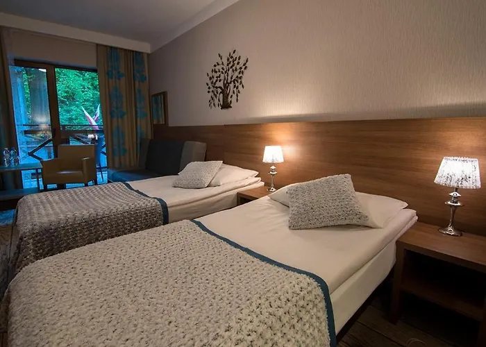 Hotel Europa - Gornicza Strzecha