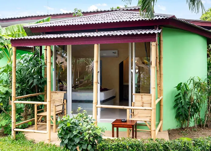 Avocado Koh Samui