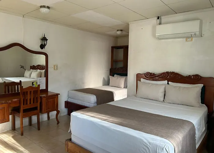 Hotel Javy
