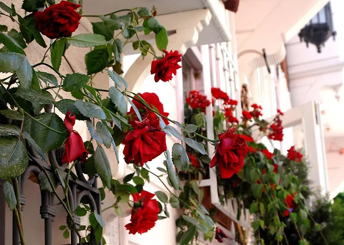 Darussaade Hotel Old City - Sultanahmet