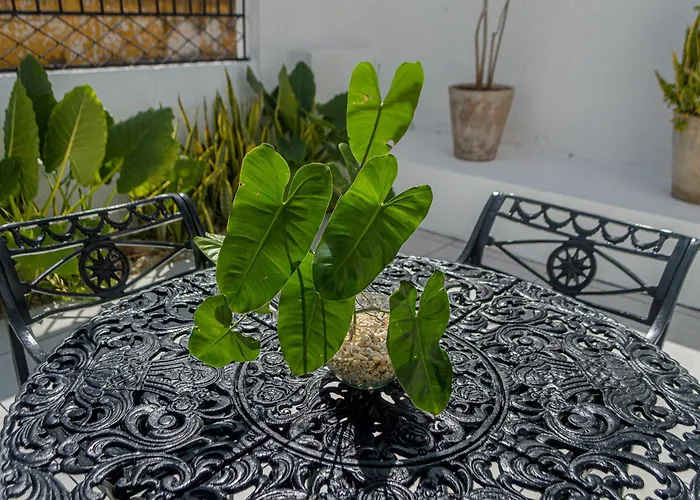 Hotel Boutique Casa Xaan