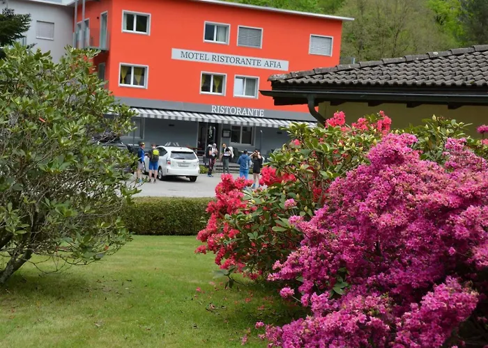 Motel Afia