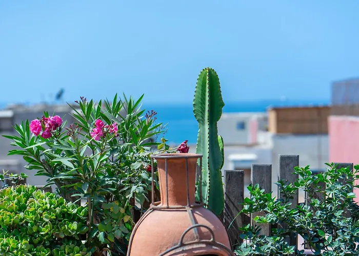 Bed and Breakfast Anza Surfhouse à Agadir
