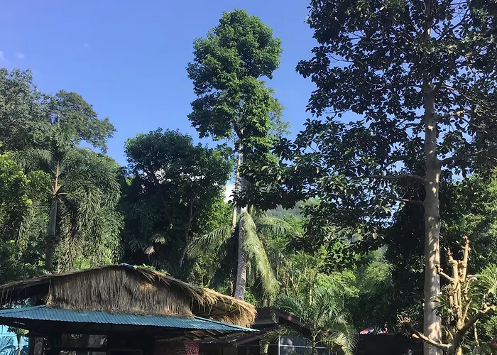Grand Tree Bungalows