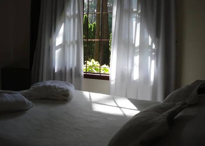 La Mansion del Bosque