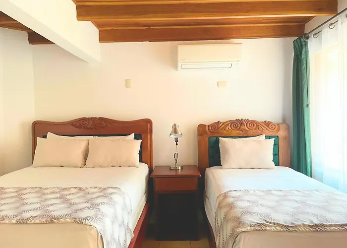 Hotel Javy