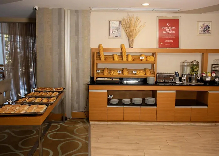 Anemon Grand Adana Otel