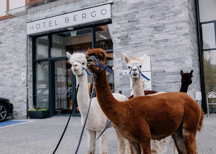 Hotel Bergo Resort & Spa