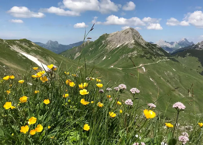 Jungbrunn Der Gutzeitort