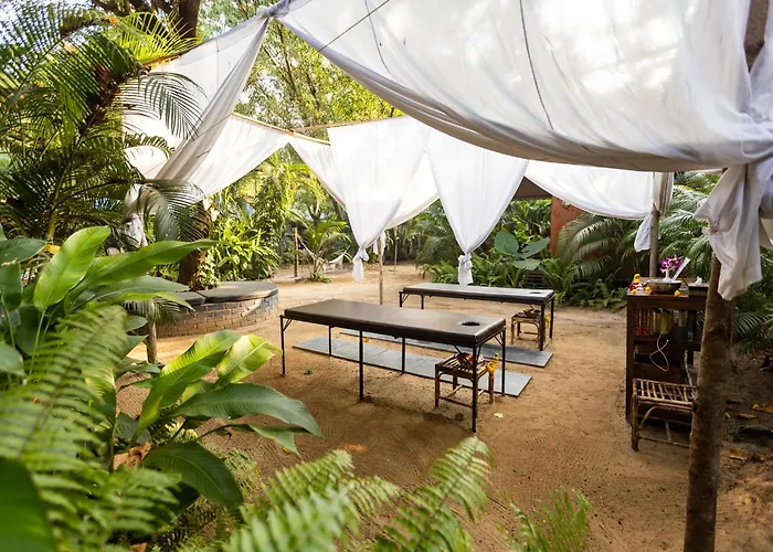 Palm Forest Palolem