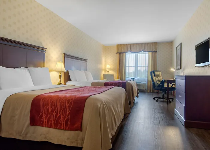 Comfort Inn & Suites