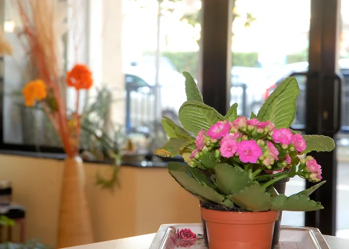 Hotel Provenza