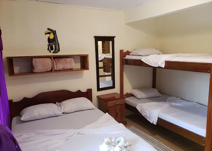 Cabinas Pura Vida B&B&Tour Operator