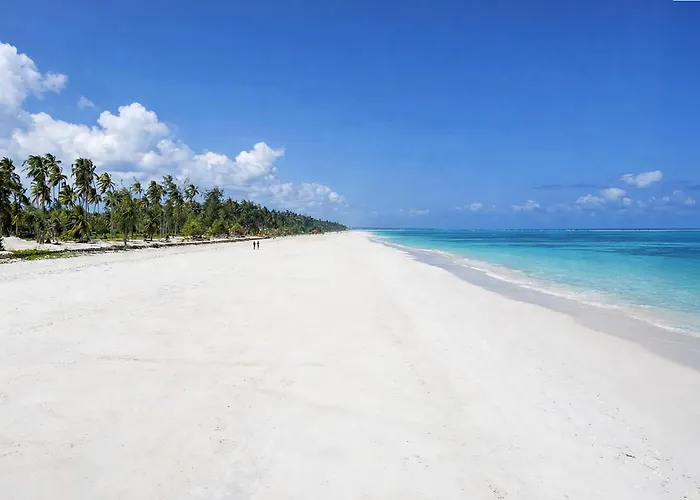 Kappa Senses Zanzibar