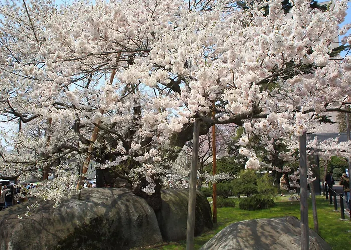 Daiwa Roynet Hotel Morioka